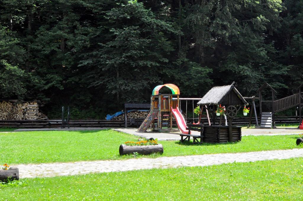 Pensiunea Denisa Palotailva Kültér fotó